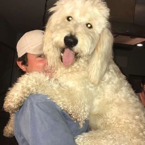 Meet your Posher, Matthew